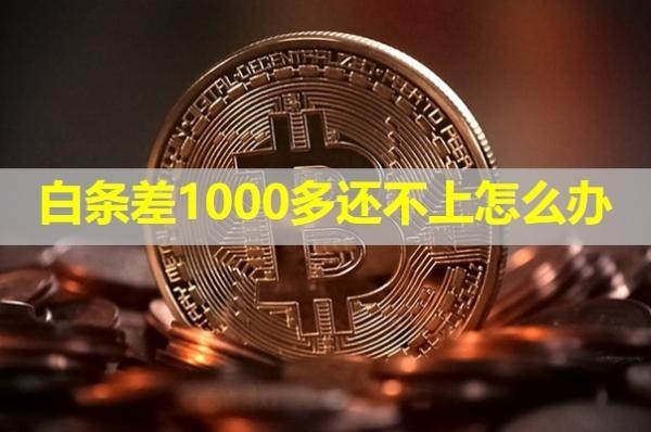白條差1000多還不上怎么辦？詳細(xì)說明