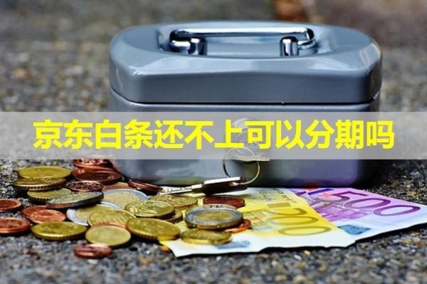 京東白條還不上可以分期嗎？大膽試試
