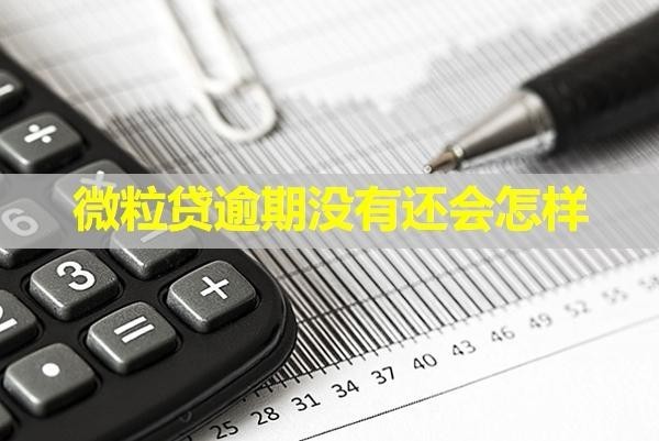 微粒貸逾期沒有還會怎樣？此文必看