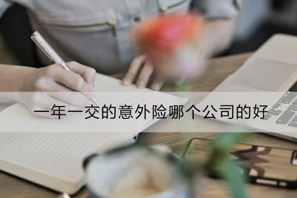 一年一交的意外險(xiǎn)哪個(gè)公司的好？有必要買(mǎi)嗎？
