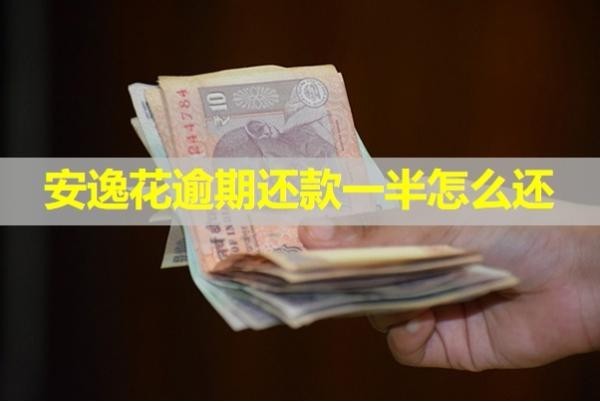 安逸花逾期還款一半怎么還？具體分析