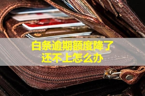 白條逾期額度降了還不上怎么辦？詳細(xì)說明