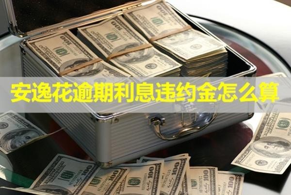 安逸花逾期利息違約金怎么算？看完就懂
