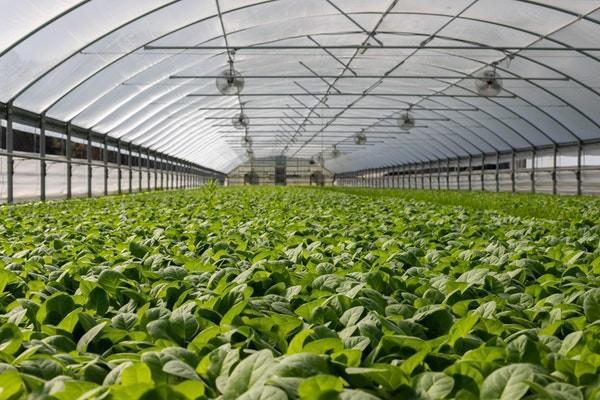 建筑意外傷害保險由誰買啊？是強制險嗎？