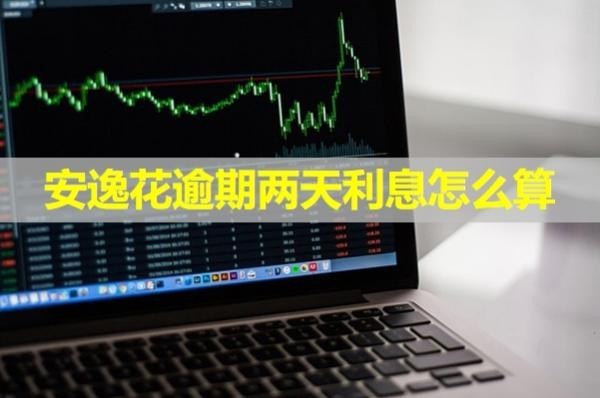 安逸花逾期兩天利息怎么算？詳細說明