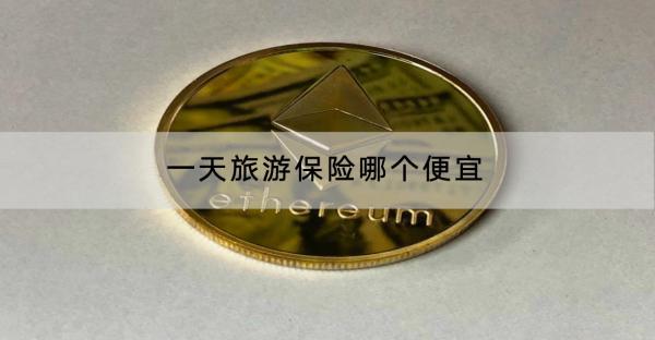 一天旅游保險(xiǎn)哪個(gè)便宜？推薦哪家保險(xiǎn)公司的？