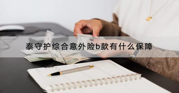 泰守護(hù)綜合意外險b款有什么保障？有什么優(yōu)缺點(diǎn)？