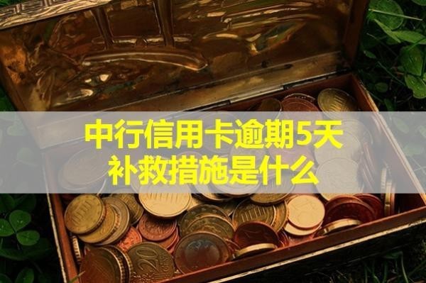 中行信用卡逾期5天補救措施是什么？可以這樣處理