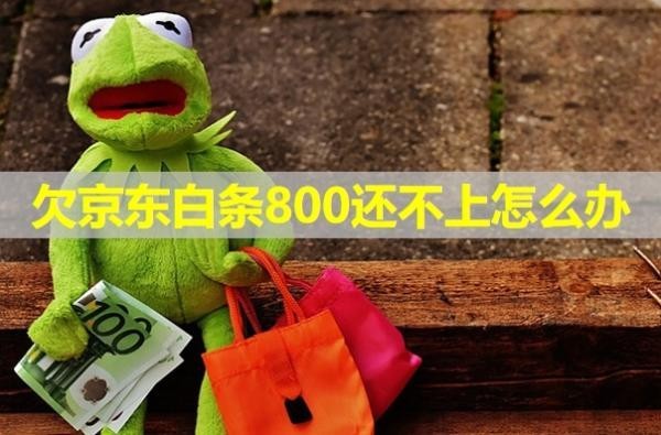 欠京東白條800還不上怎么辦？這樣處理