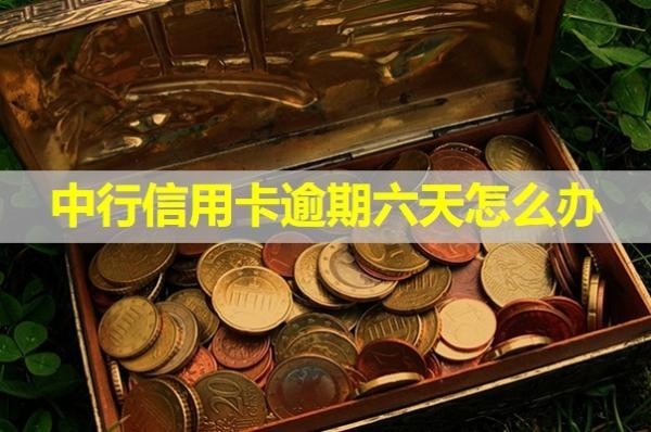 中行信用卡逾期六天怎么辦？詳細(xì)說明