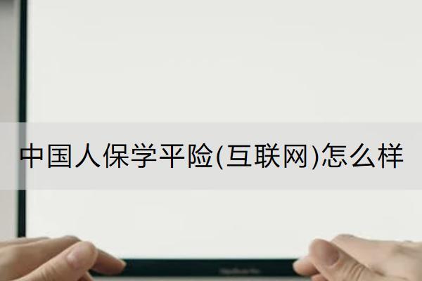 中國人保學(xué)平險(互聯(lián)網(wǎng))怎么樣？保什么？
