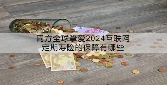 同方全球摯愛(ài)2024互聯(lián)網(wǎng)定期壽險(xiǎn)的保障有哪些？值得買嗎？