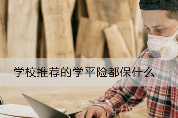 學(xué)校推薦的學(xué)平險都保什么？多少錢？
