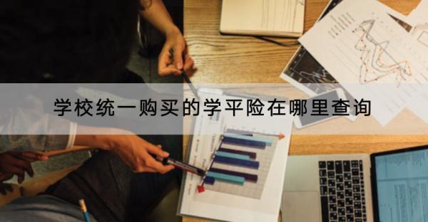 學(xué)校統(tǒng)一購(gòu)買的學(xué)平險(xiǎn)在哪里查詢？可以提供哪些保障？