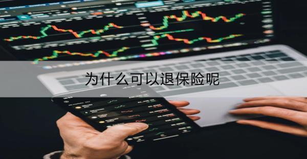 為什么可以退保險呢？為什么退不到一半？
