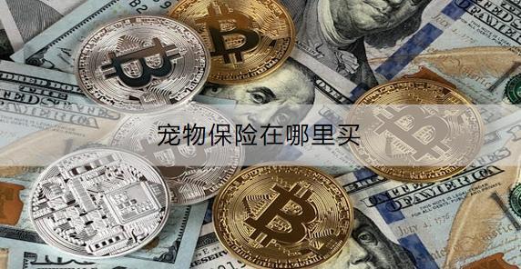 寵物保險(xiǎn)在哪里買？有什么產(chǎn)品推薦？