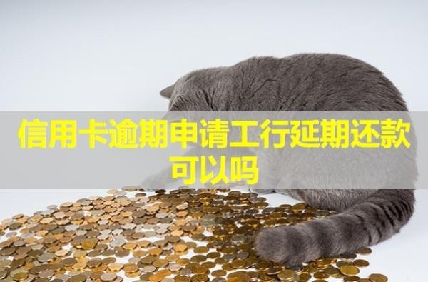 信用卡逾期申請工行延期還款可以嗎？詳細(xì)解析
