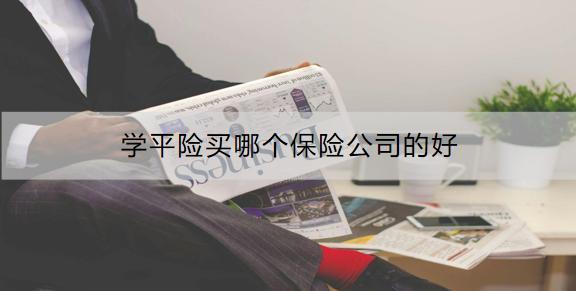 學(xué)平險買哪個保險公司的好？怎么購買？