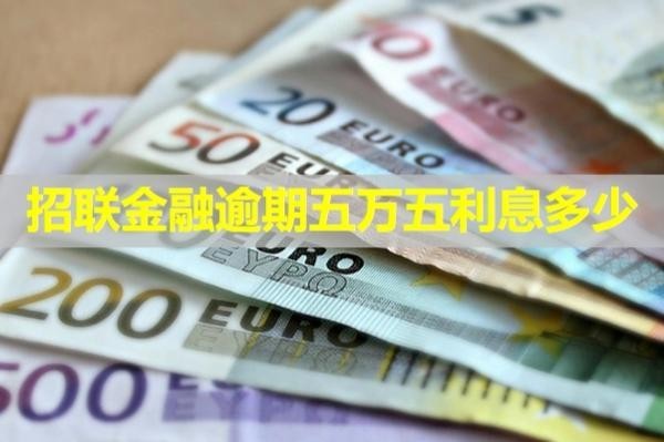 招聯(lián)金融逾期五萬(wàn)五利息多少？有這么多！