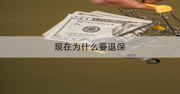 現(xiàn)在為什么要退保？一般能拿回幾成？