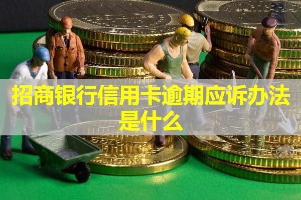 招商銀行信用卡逾期應(yīng)訴辦法是什么？詳細(xì)說明