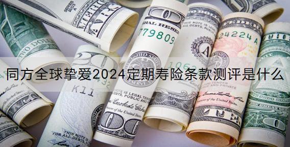 同方全球摯愛(ài)2024定期壽險(xiǎn)條款測(cè)評(píng)是什么？保費(fèi)多少？