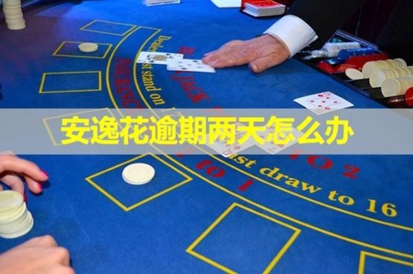 安逸花逾期兩天怎么辦？詳細說明