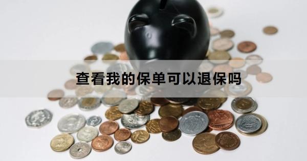 查看我的保單可以退保嗎