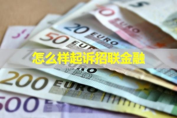 怎么樣起訴招聯(lián)金融？保姆級(jí)的教程來了