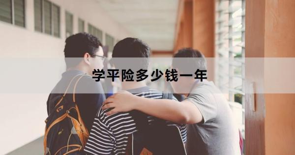 學(xué)平險多少錢一年？要怎么買呢？