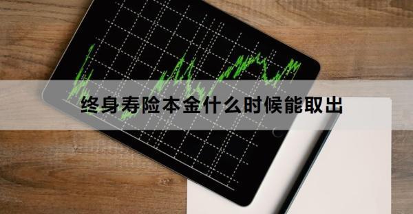 終身壽險(xiǎn)本金什么時(shí)候能取出？適合什么人買？