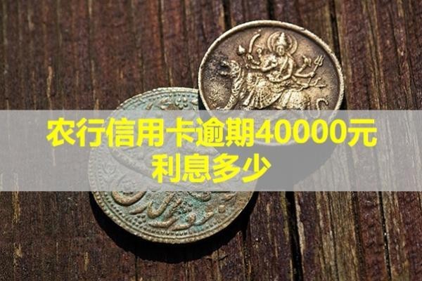 農(nóng)行信用卡逾期40000元利息多少？快來看