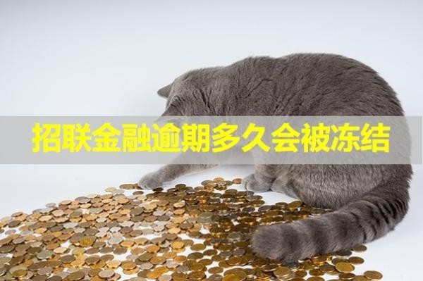 招聯(lián)金融逾期多久會(huì)被凍結(jié)銀行卡？這個(gè)時(shí)間很重要