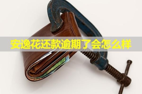 安逸花還款逾期了會怎么樣？全面解答