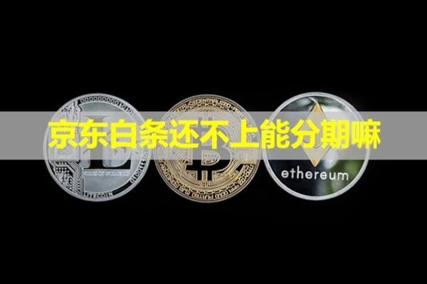 京東白條還不上能分期嘛？