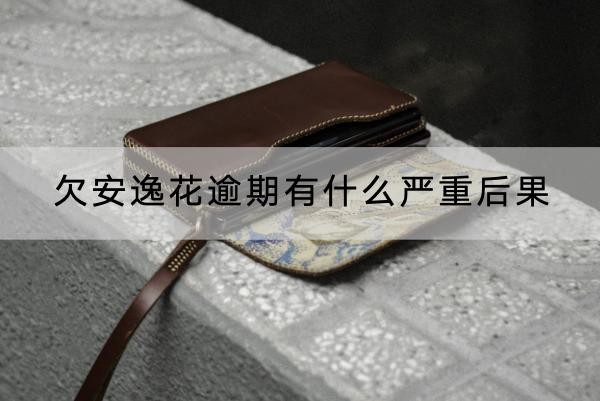 欠安逸花逾期有什么嚴(yán)重后果？千萬別大意