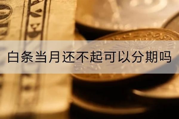 白條當(dāng)月還不起可以分期嗎？