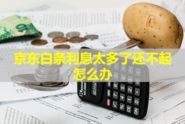 京東白條利息太多了還不起怎么辦？會產(chǎn)生哪些后果？