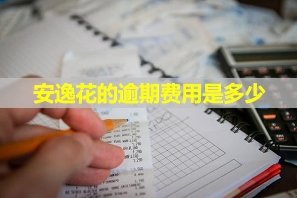 安逸花的逾期費(fèi)用是多少？一文解答