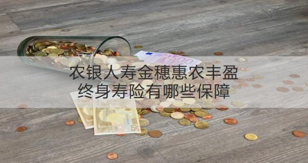 農(nóng)銀人壽金穗惠農(nóng)豐盈終身壽險有哪些保障？值得買嗎？