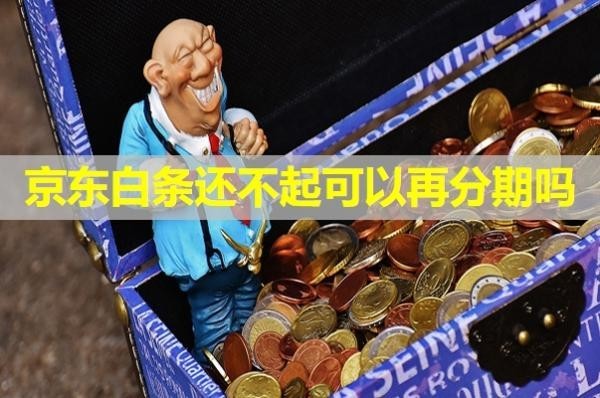 京東白條還不起可以再分期嗎？