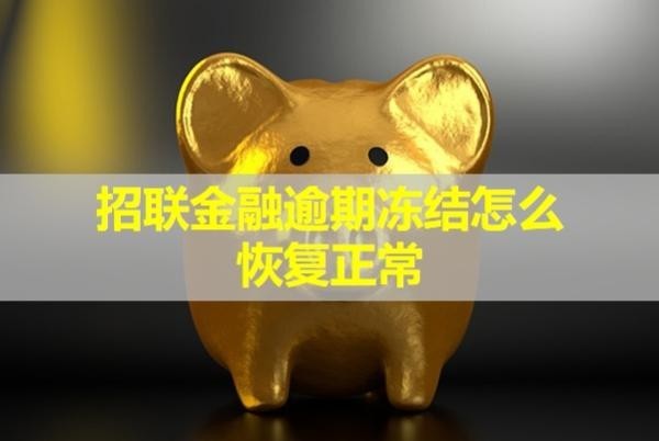 招聯(lián)金融逾期凍結(jié)怎么恢復(fù)正常？試試這三種方式