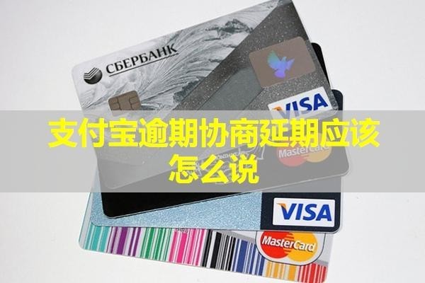 支付寶逾期協(xié)商延期應(yīng)該怎么說？