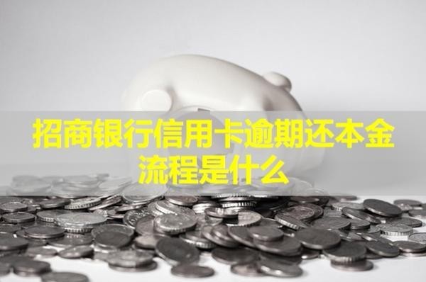 招商銀行信用卡逾期還本金流程是什么？詳細(xì)情況解析