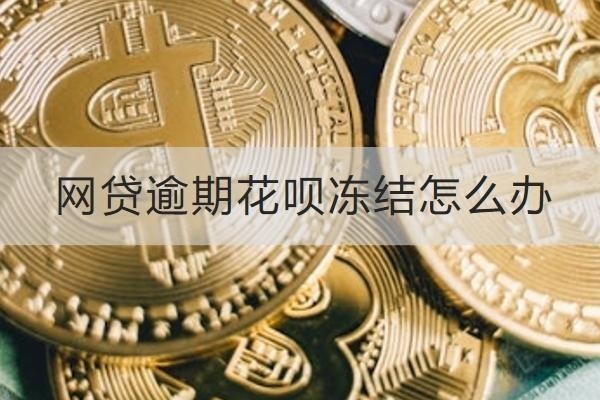 網(wǎng)貸逾期花唄凍結(jié)怎么辦？這幾個(gè)方法一定要知道