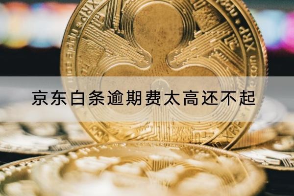 京東白條逾期費太高還不起怎么解決？這幾個方法一定要知道