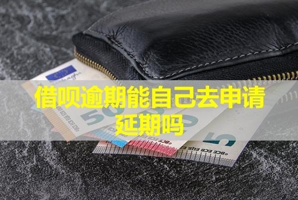 借唄逾期能自己去申請延期嗎？不同意怎么辦？