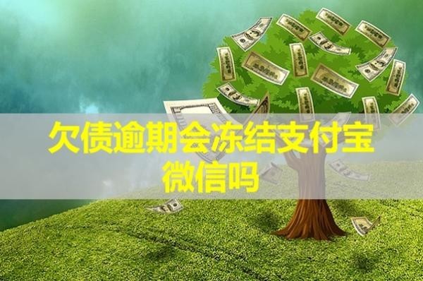 欠債逾期會(huì)凍結(jié)支付寶微信嗎？影響下一代嗎？