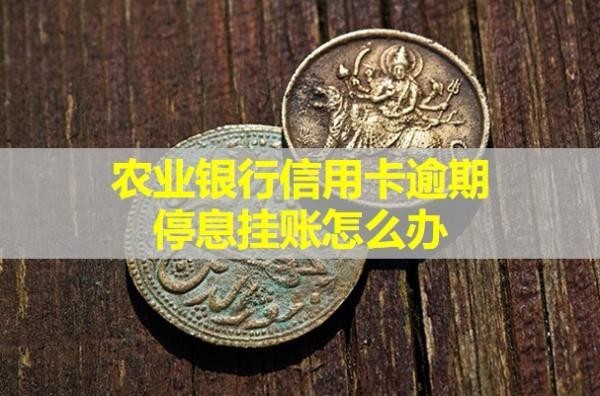 農業(yè)銀行信用卡逾期停息掛賬怎么辦？成功幾率大嗎？