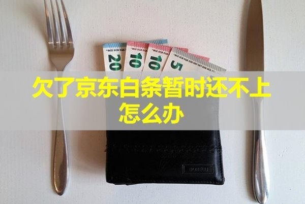 欠了京東白條暫時還不上怎么辦？怎么樣？